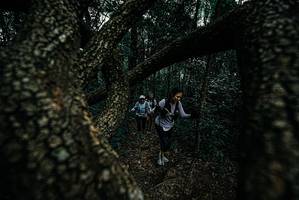 BIB: 
                            <button type="button" onclick="openModal(25689761)" class="btn btn-primary btn-sm float-right btn-popup" data-toggle="modal" data-target=".modal-high-quality">
                        <i class="fas fa-shopping-cart"></i> Add to Cart
                    </button>
                                            <button type="button" onclick="isThisMe(25689761, true)" class="btn btn-success btn-sm float-right btn-popup btn-isme hidden" data-toggle="tooltip" data-placement="bottom" title="นี่คือรูปของคุณใช่ไหม คลิกที่นี่เพื่อเอาเข้าอัลบั้ม">
                        <i class="fas fa-plus"></i> Add to album
                    </button>
                    <button type="button" onclick="isThisMe(25689761, false)" class="btn btn-warning btn-sm float-right btn-popup btn-isnotme hidden">
                        <i class="fas fa-ban"></i> Remove from album
                    </button>